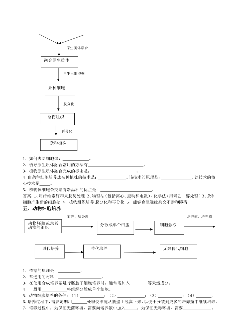 选修三流程图_第3页