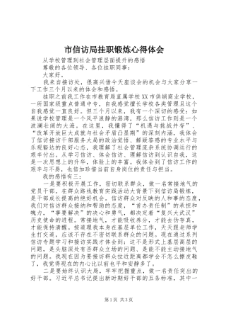 市信访局挂职锻炼心得体会