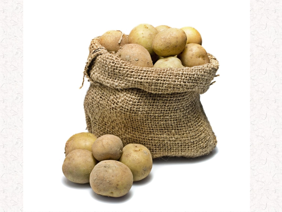 2012北师大版小学数学一年级上册-《背土豆》_第2页