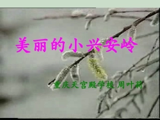 美丽的小兴安岭周2