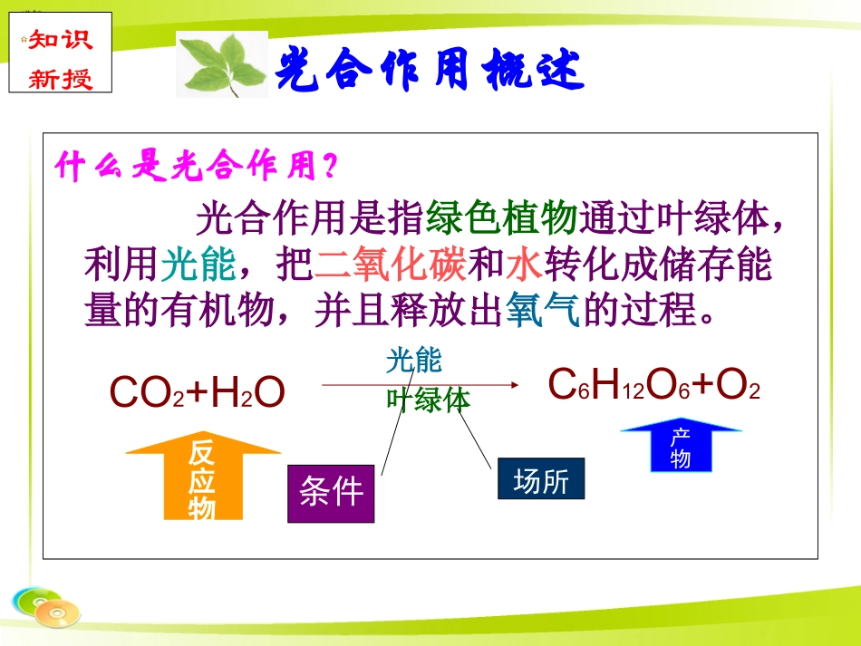光合作用绿叶中色素的提取和分离_第3页