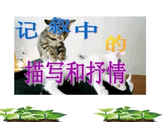 写作_记叙中的描写和抒情