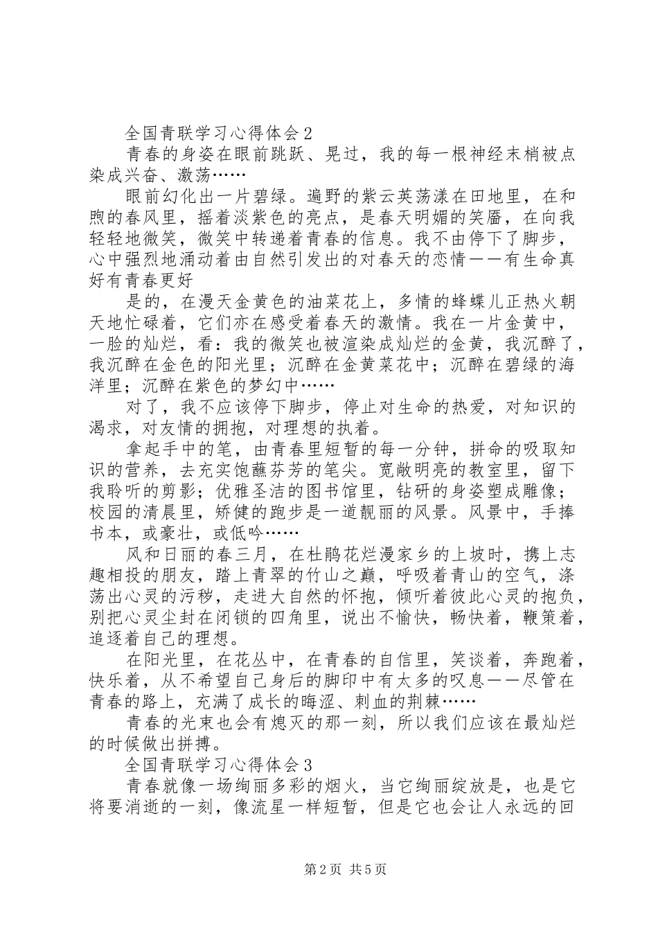全国青联学习心得体会_第2页