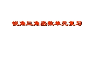 锐角三角函数复习2