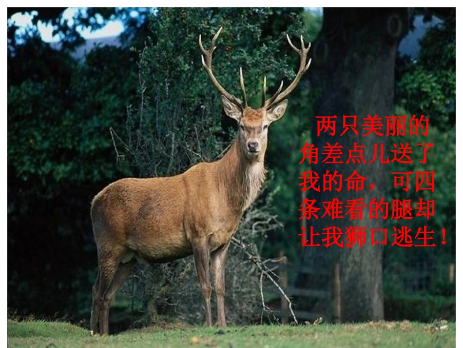 《狮子和鹿》_第1页