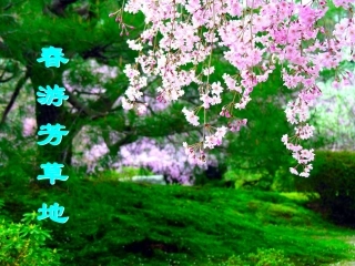 《济南的冬天》