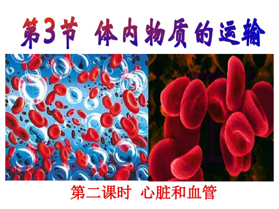 体内物质的运输第二课时心脏和血管_第1页