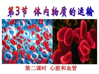 体内物质的运输第二课时心脏和血管