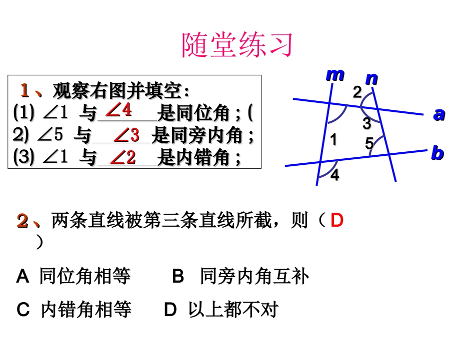 八年级上册第一章平行线复习课件1_第3页