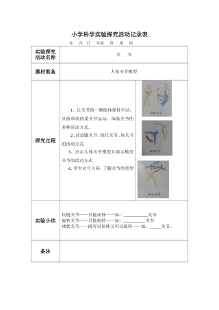 小学科学实验探究活动记录表