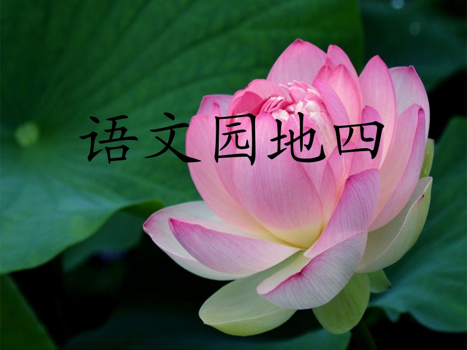 三年级上册《语文园地四》_第1页