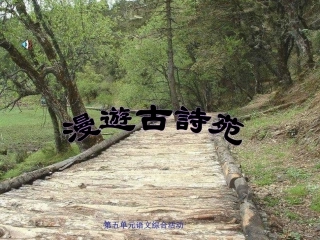 人教版语文八年级下册综合性学习《古诗苑漫步》课件