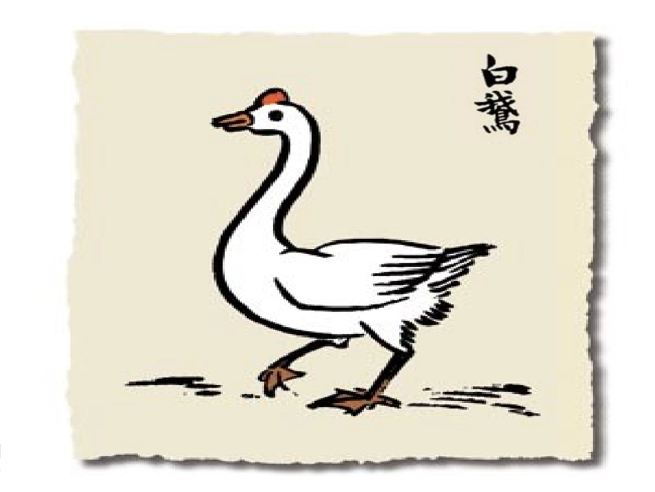 《白公鹅》课件1_第1页