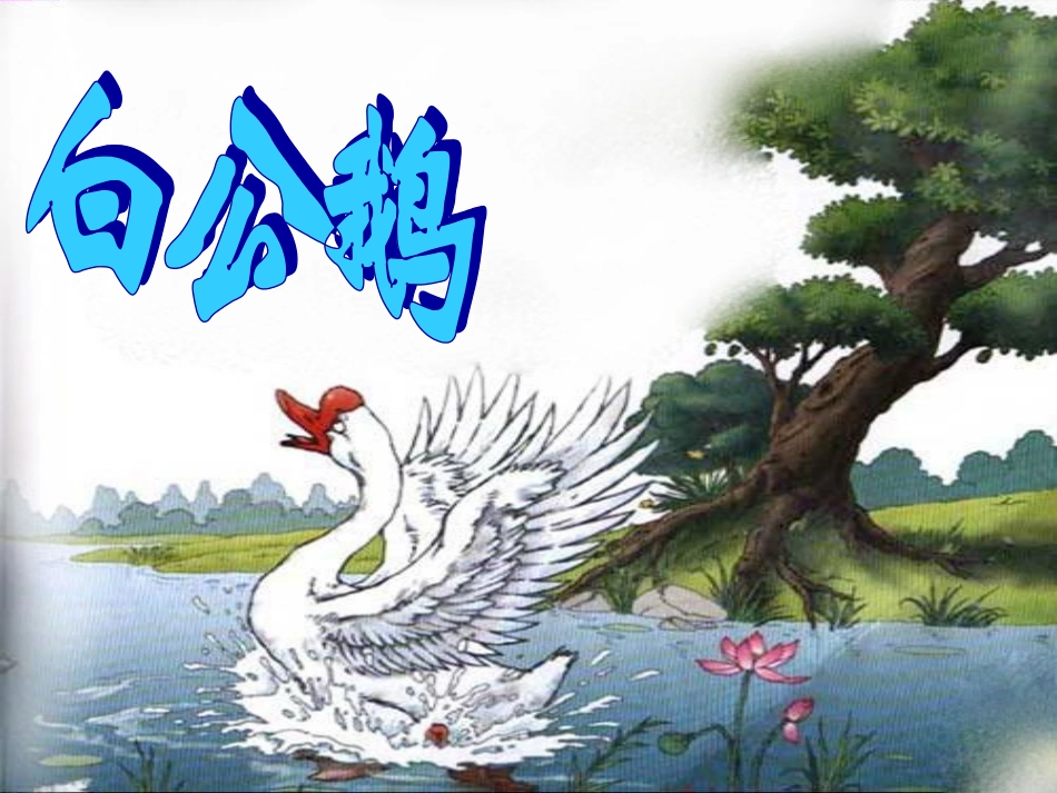 《白公鹅》课件1_第2页