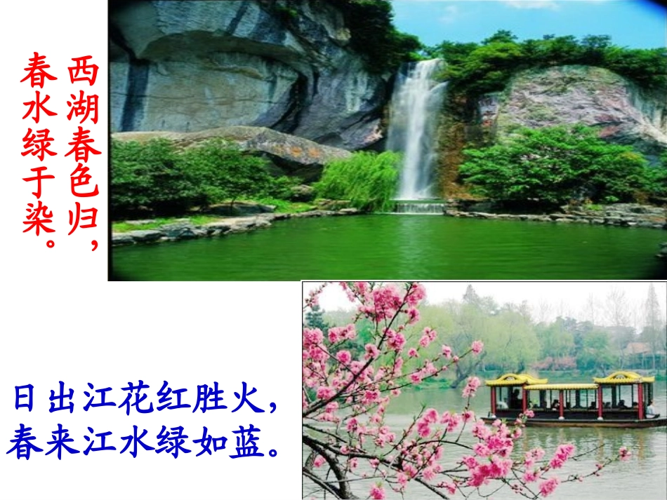 藻类苔藓和蕨类植物人教版_第2页