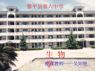 第四单元第四章_输血与血型