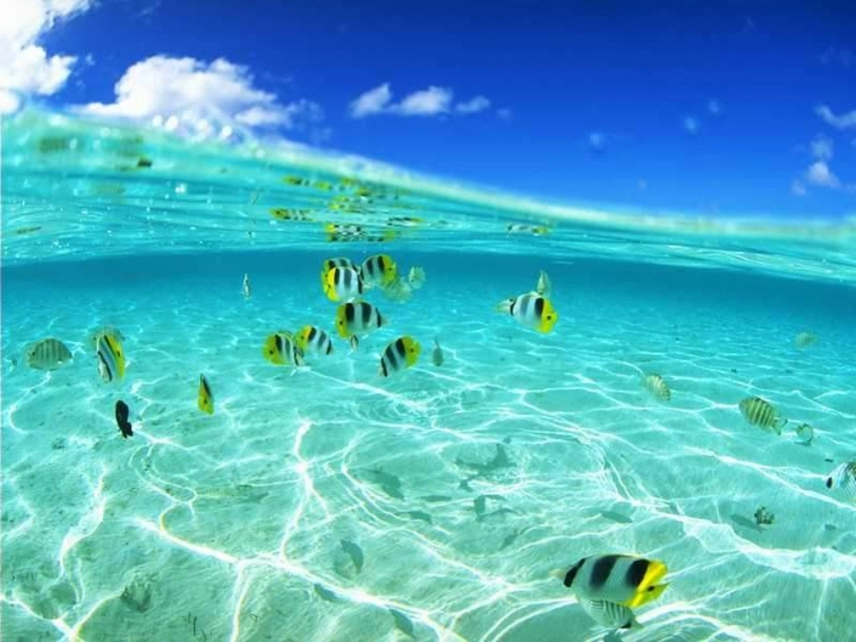 第三节物体的浮与沉_第3页