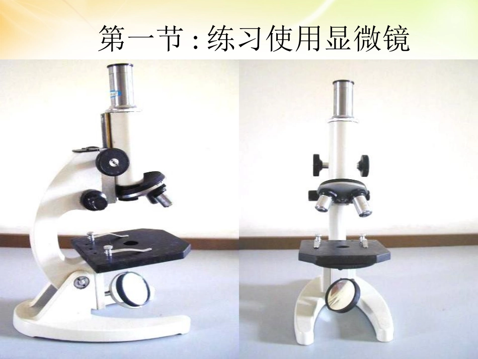练习使用显微镜课件新人教版_第1页