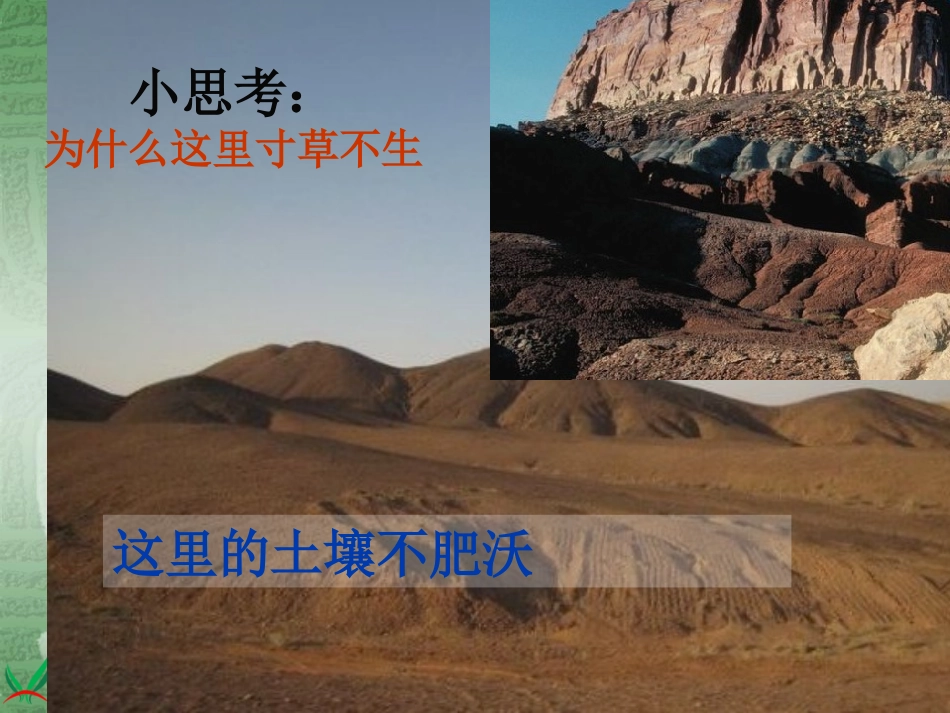 巴提鲁克苏教版小学科学三年级下册《肥沃的土壤》课件_第2页