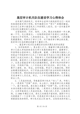 基层审计机关队伍建设学习心得体会