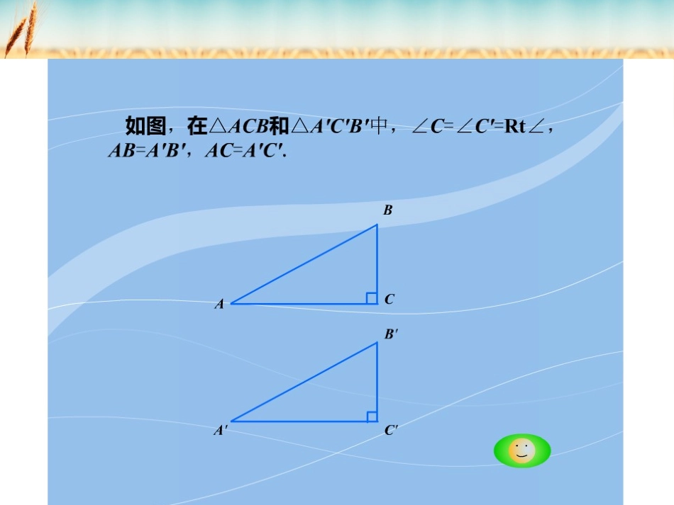 直角三角形全等的判定_第3页