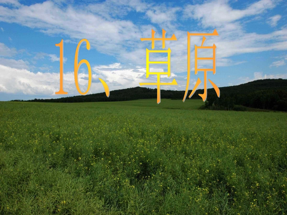 《草原》课件2_第1页