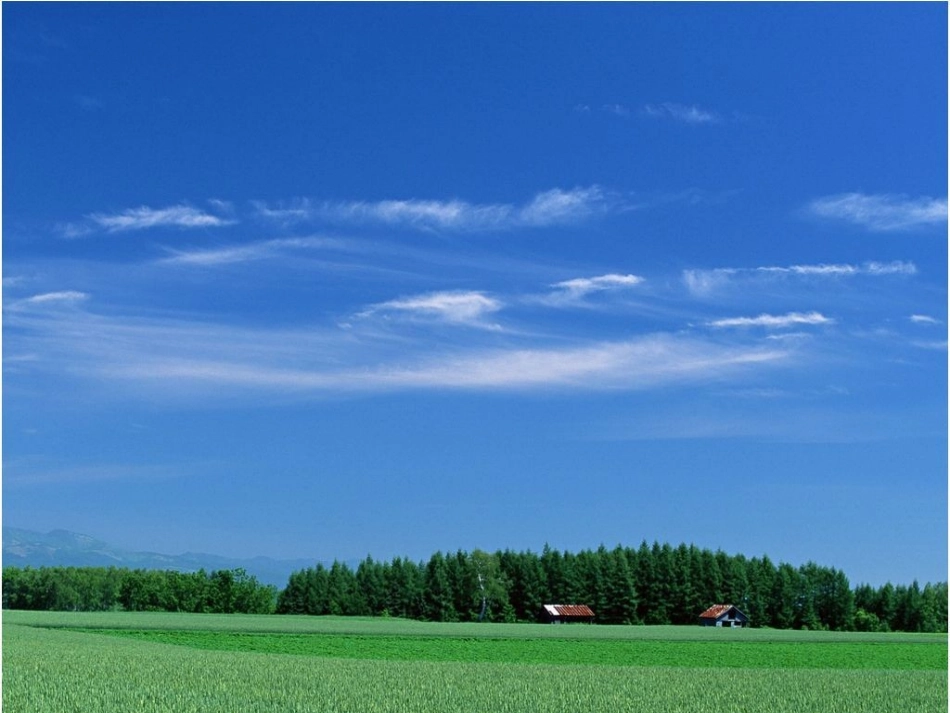 《草原》课件2_第3页