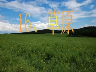 《草原》课件2