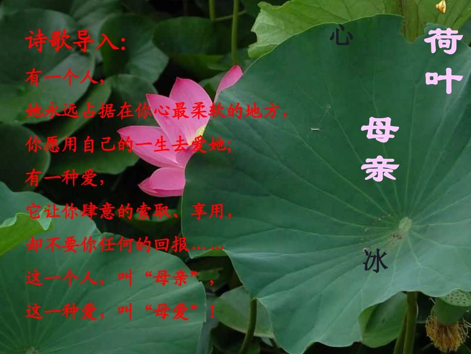 《荷叶母亲》课件 (3)_第1页