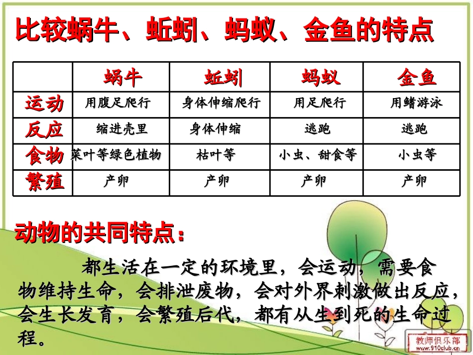 动物有哪些相同特点_第2页