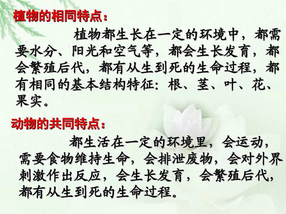 动物有哪些相同特点_第3页