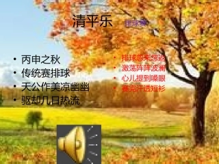 清平乐排球赛