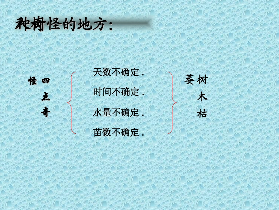 人教版语文六年级下册《桃花心木》课件_第3页