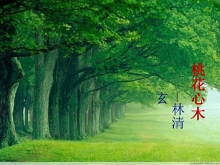 人教版语文六年级下册《桃花心木》课件