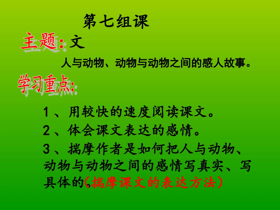 跑进家来的松鼠(汇报课)_第1页