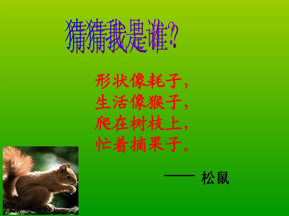 跑进家来的松鼠(汇报课)_第2页