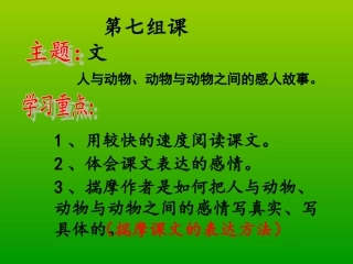 跑进家来的松鼠(汇报课)