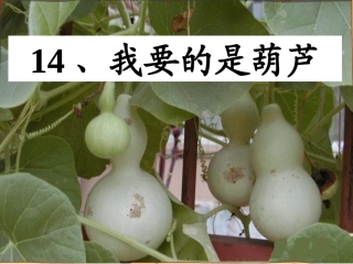 《我要的是葫芦》课件6