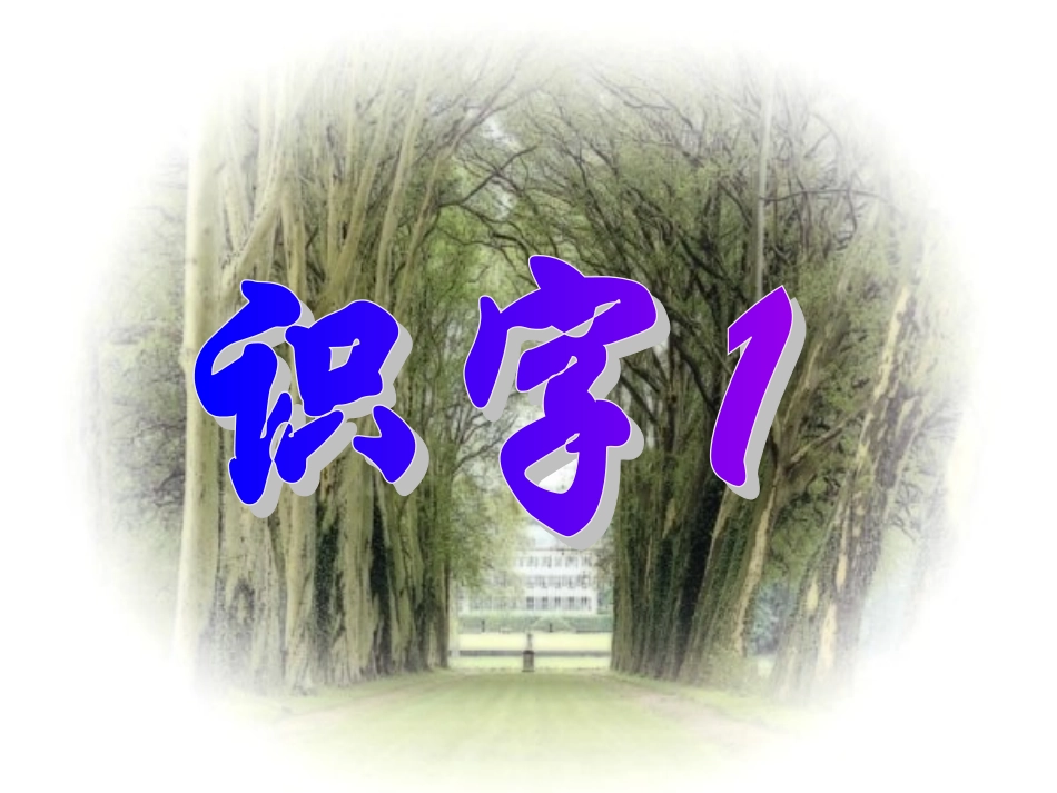 识字1 (4)_第1页