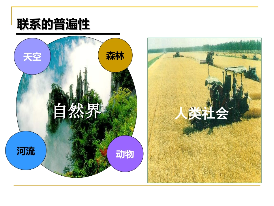 高二政治-世界是普遍联系的_第1页