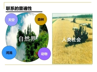 高二政治-世界是普遍联系的