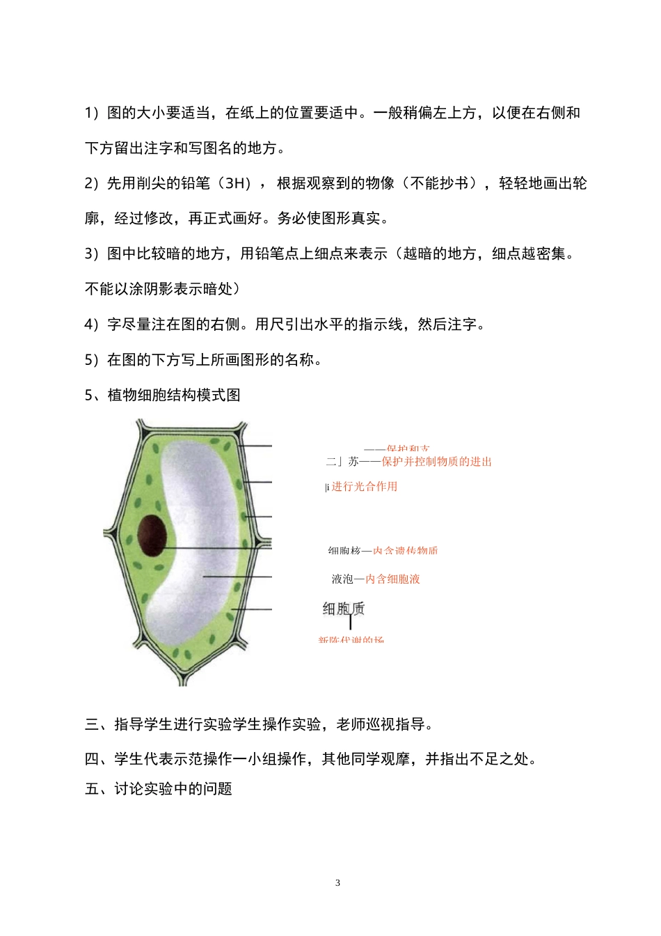 制作并观察洋葱表皮细胞临时装片_第3页
