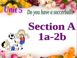 七上五SectionA1