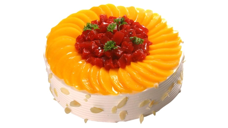 科学圆形朋友_第2页