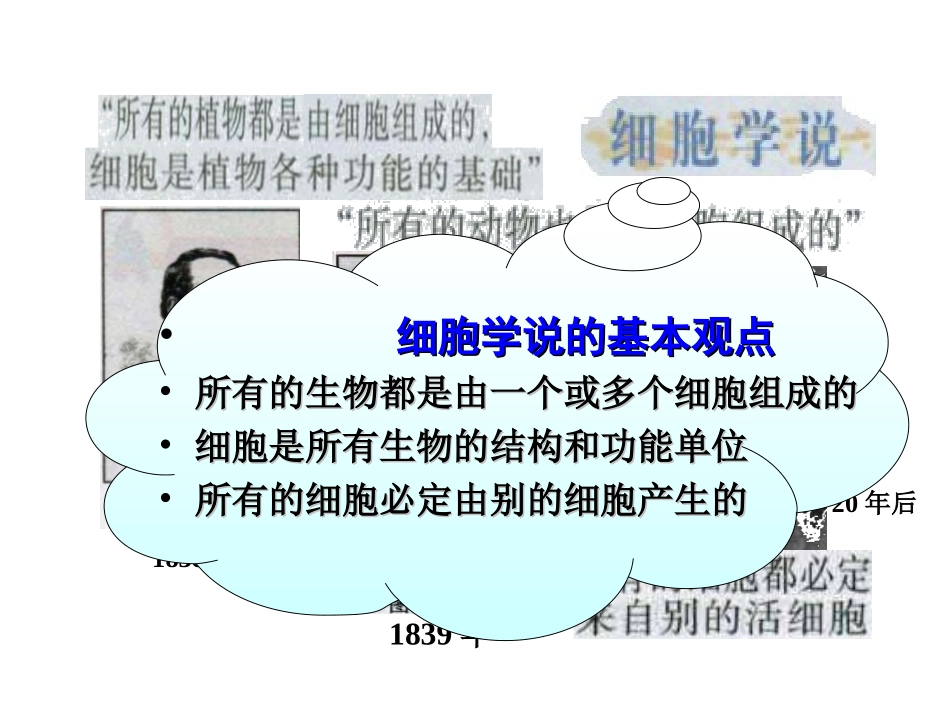 第二章细胞的结构(第一节细胞概述)１_第3页