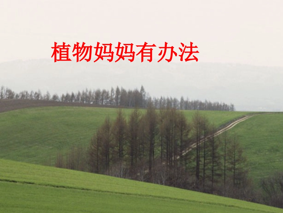 人教版语文二上3《植物妈妈有办法》课件(6)_第1页