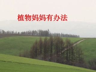 人教版语文二上3《植物妈妈有办法》课件(6)