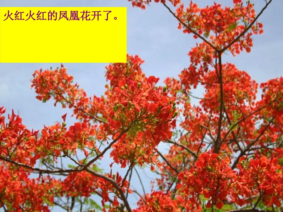 [11]_难忘的泼水节_第2页