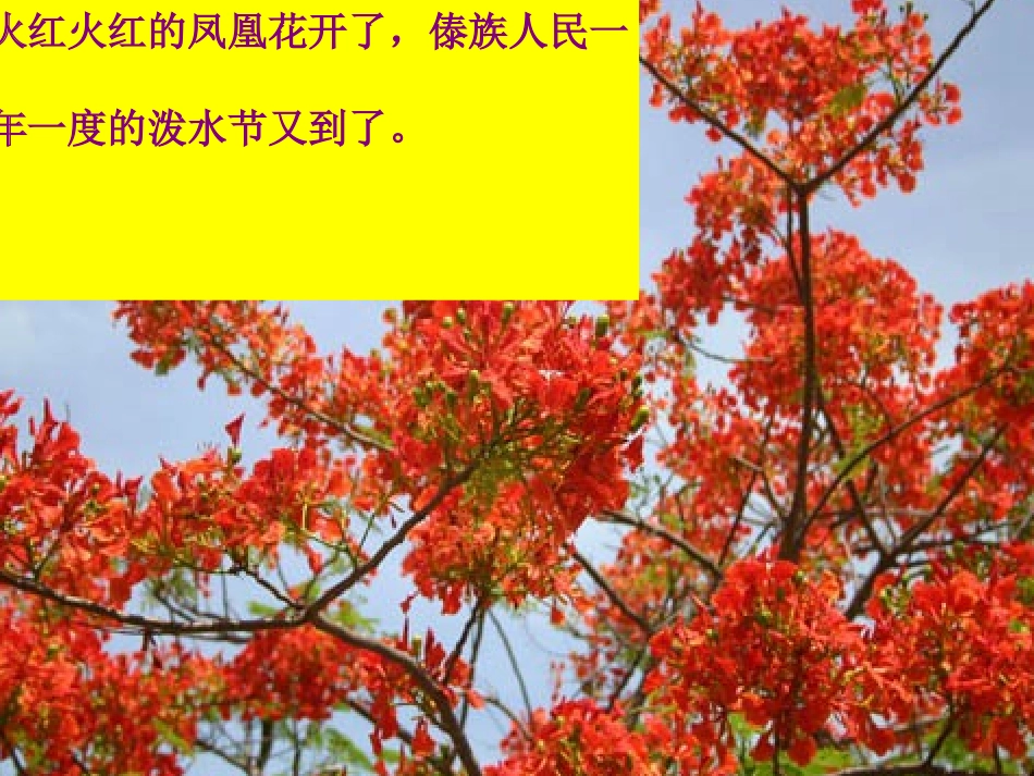 [11]_难忘的泼水节_第3页