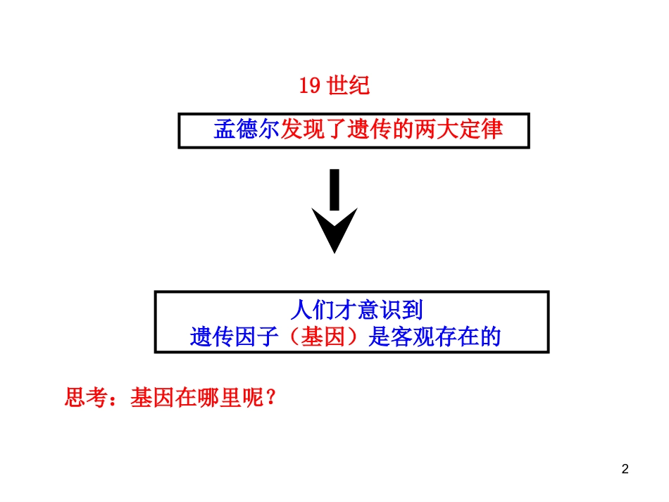 基因在染色体上课件_第2页